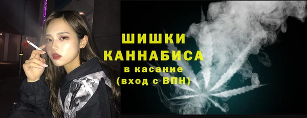 прущие грибы Абинск