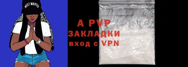 стаф Абаза
