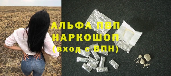 стаф Абаза