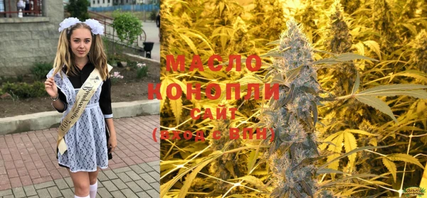 прущие грибы Абинск
