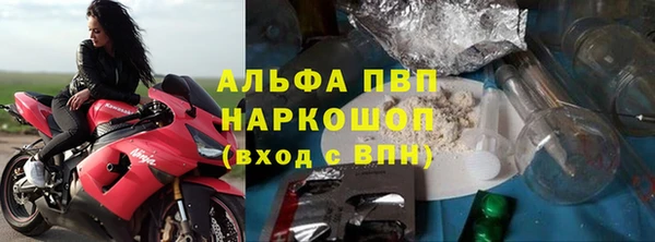 прущие грибы Абинск